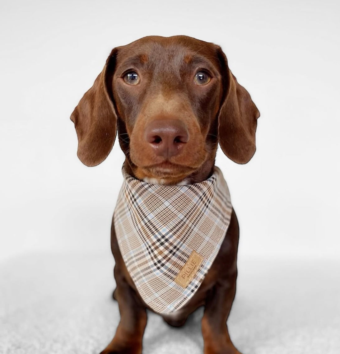Bandanas