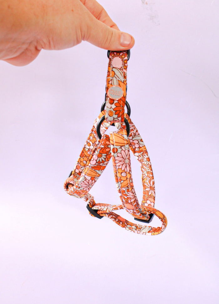 Step-in Harness