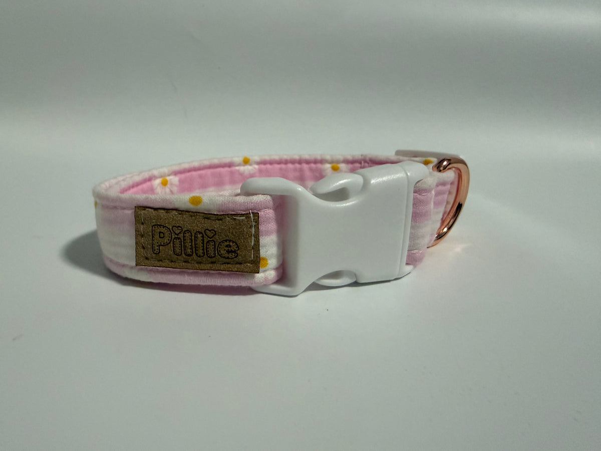 Pink Daisy - Medium Collar Sample