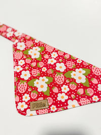 Ruby - Bandana