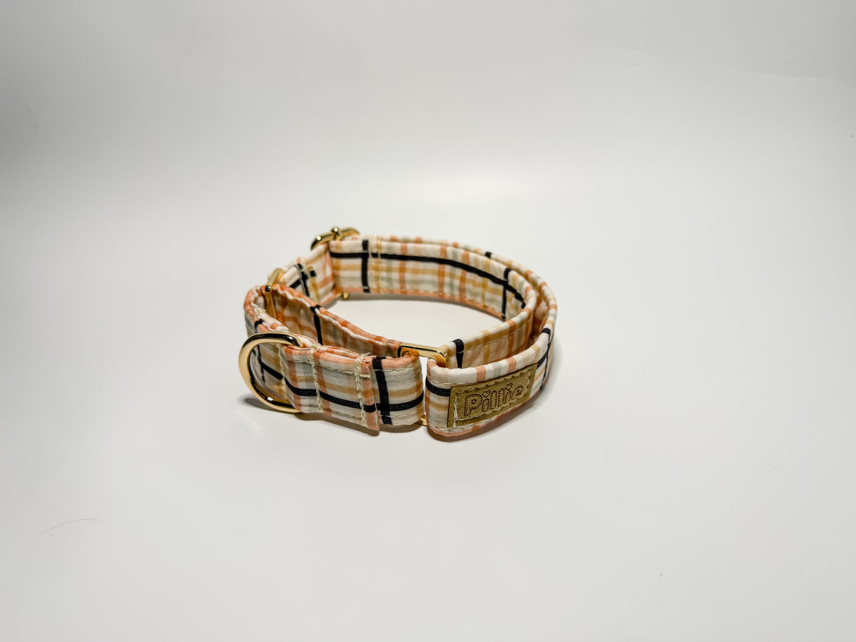 Ziggy- Martingale Collar