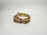 Ziggy- Martingale Collar