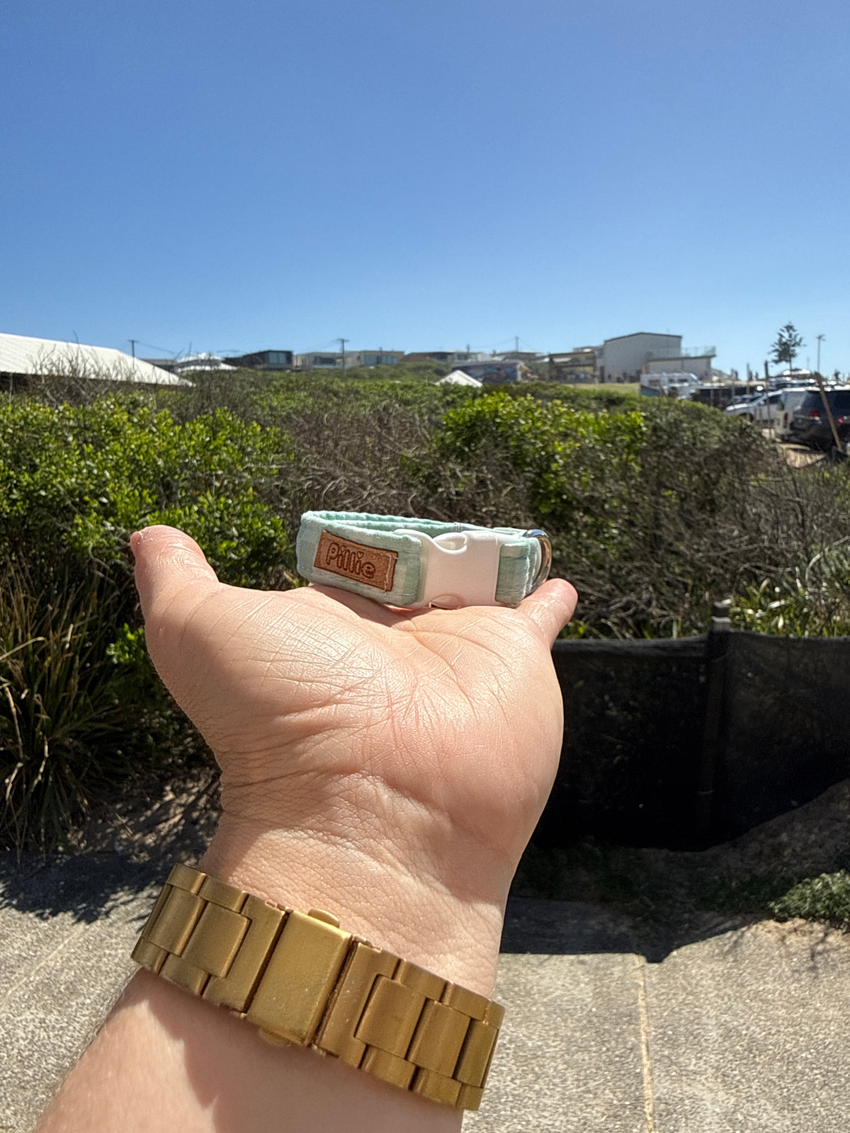 Sage check  - Puppy Collar Sample