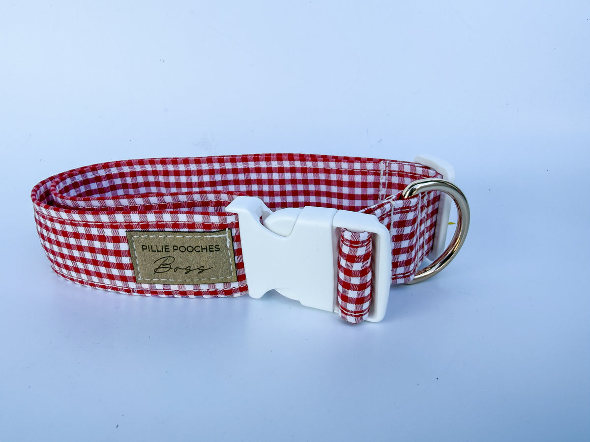 Rory  - Boss Collar