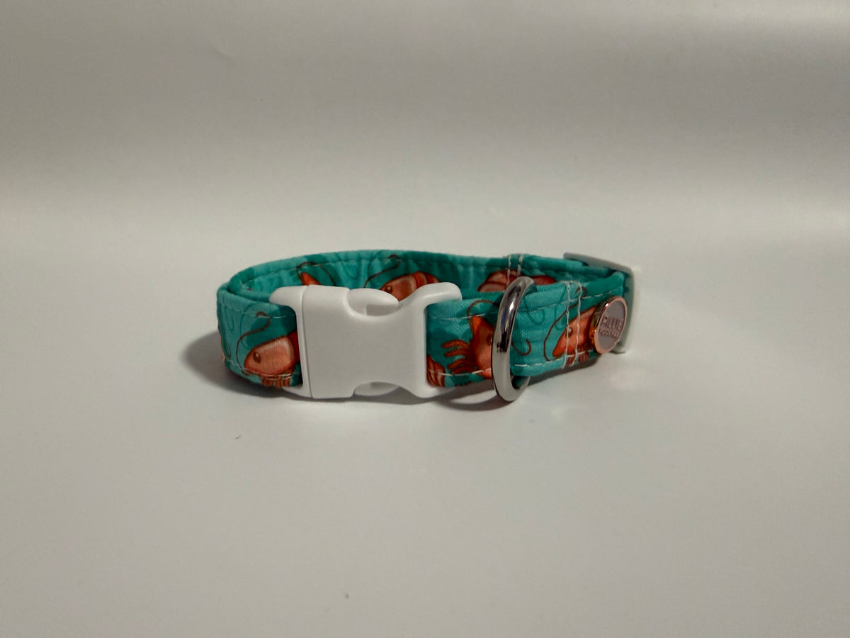 Prawn - Small Collar Sample
