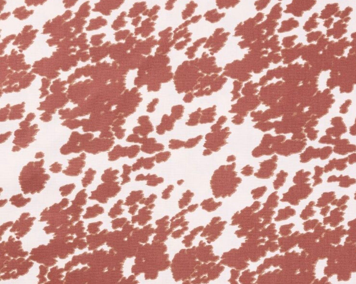 Angus - Bows (Sailor or Standard)