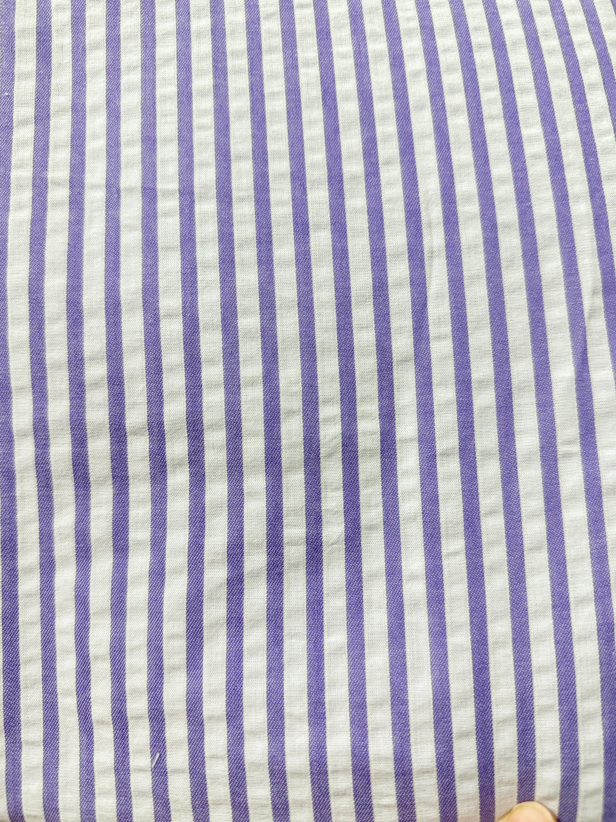 Violet Vacations - Kitty Collar