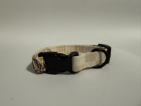 Butterfly - Puppy Collar Sample