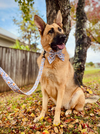 Sunnie - Bows (Sailor or Standard)