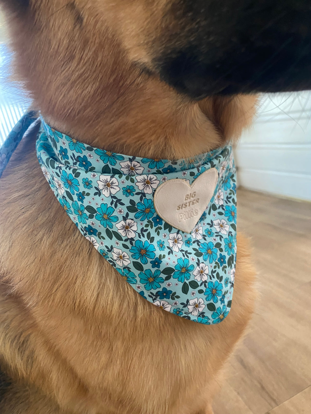 Big Sister & Big Brother Badge's