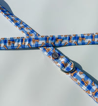 Puppy picnic - Leads (Long, Short, Traffic Lead)