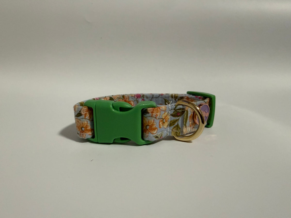 Elsie - Small Collar Sample