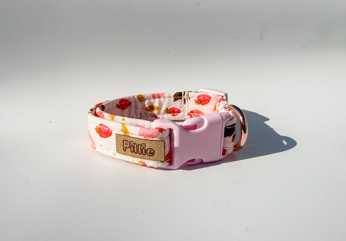 Strawberry Kisses - Collar