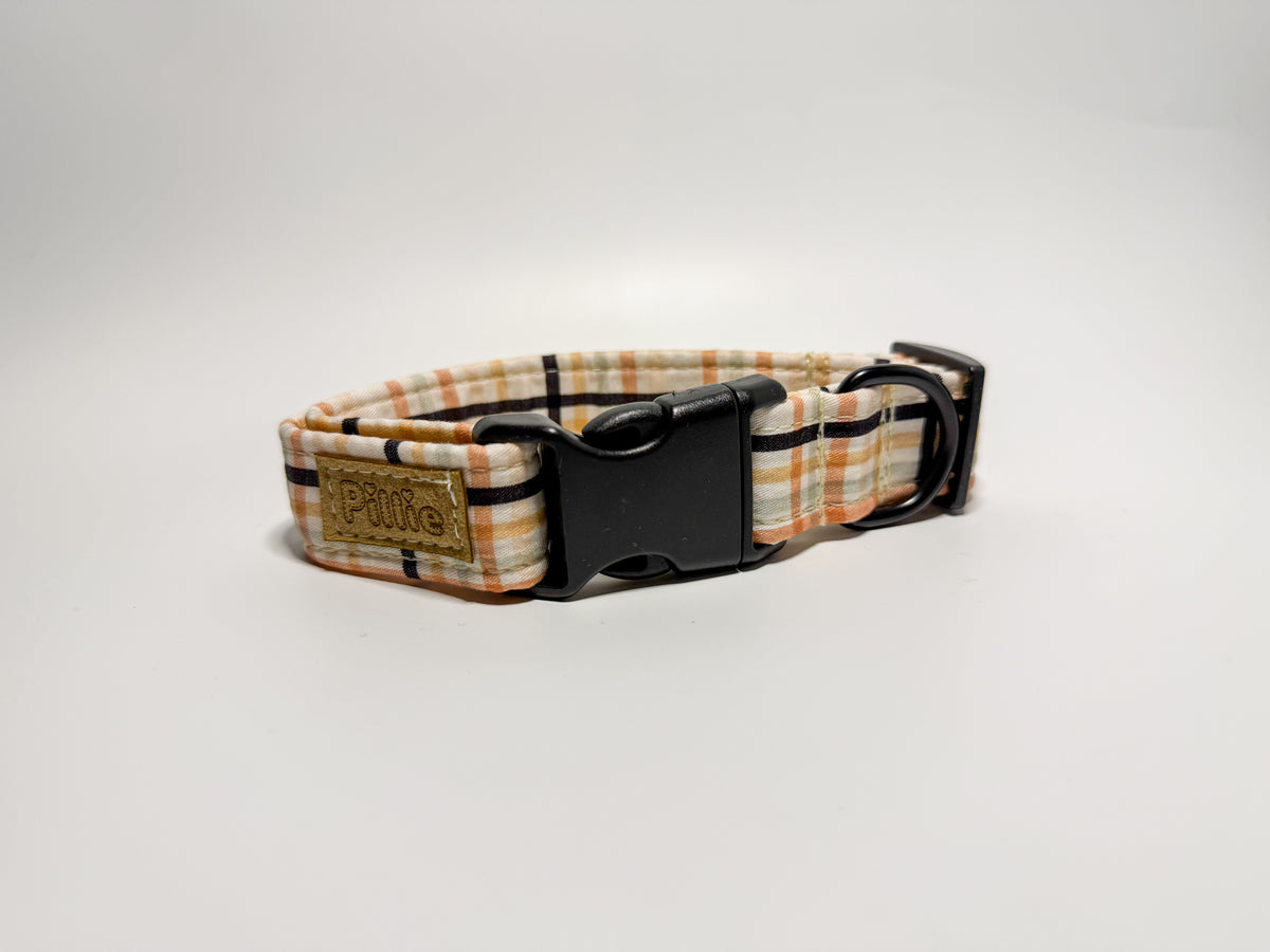 Ziggy - Collar