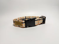 Ziggy - Collar