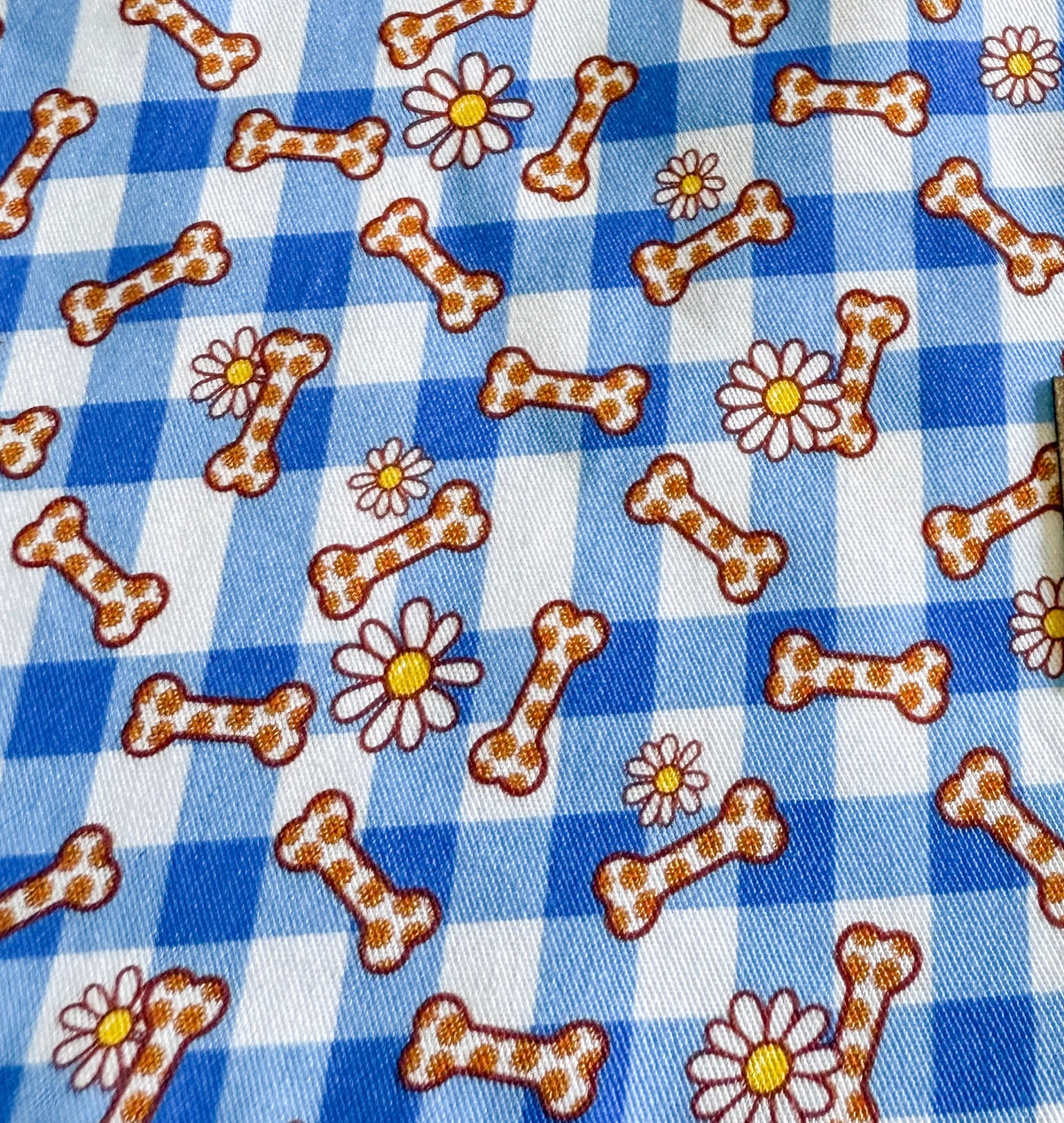 Puppy Picnic - Collar