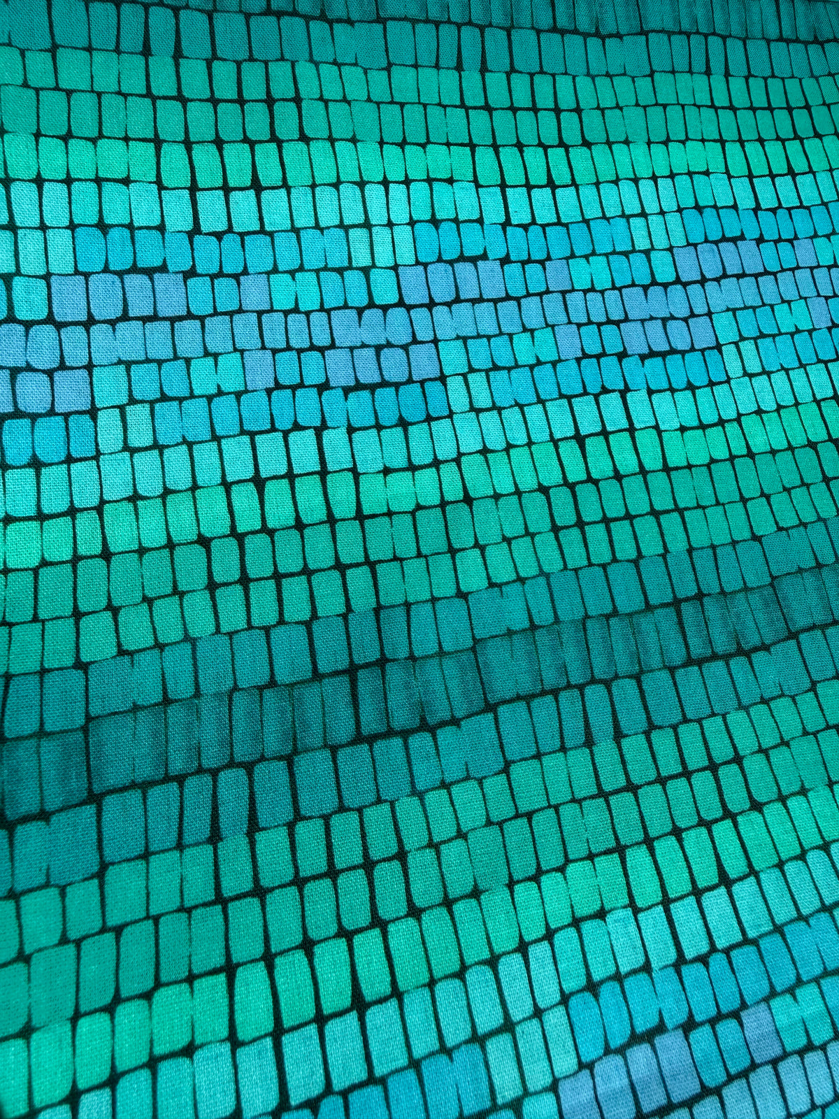 Jasper - Kitty Collar