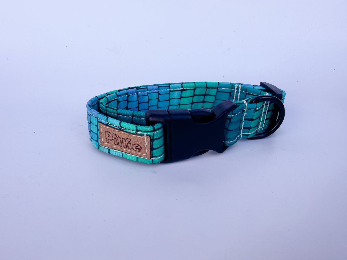 Jasper - Collar