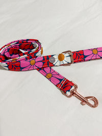 Miley - Leads (Long, Short, Traffic Lead)