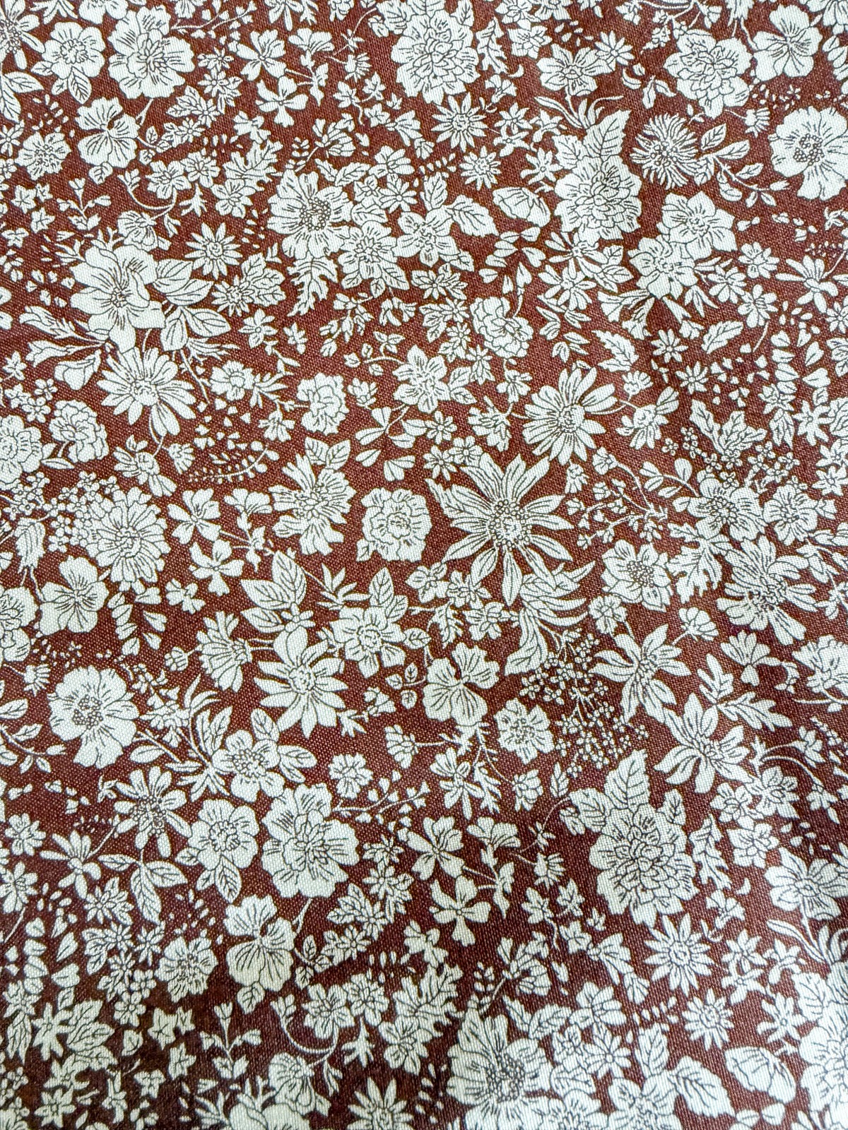 Sadie - Kitty Collar