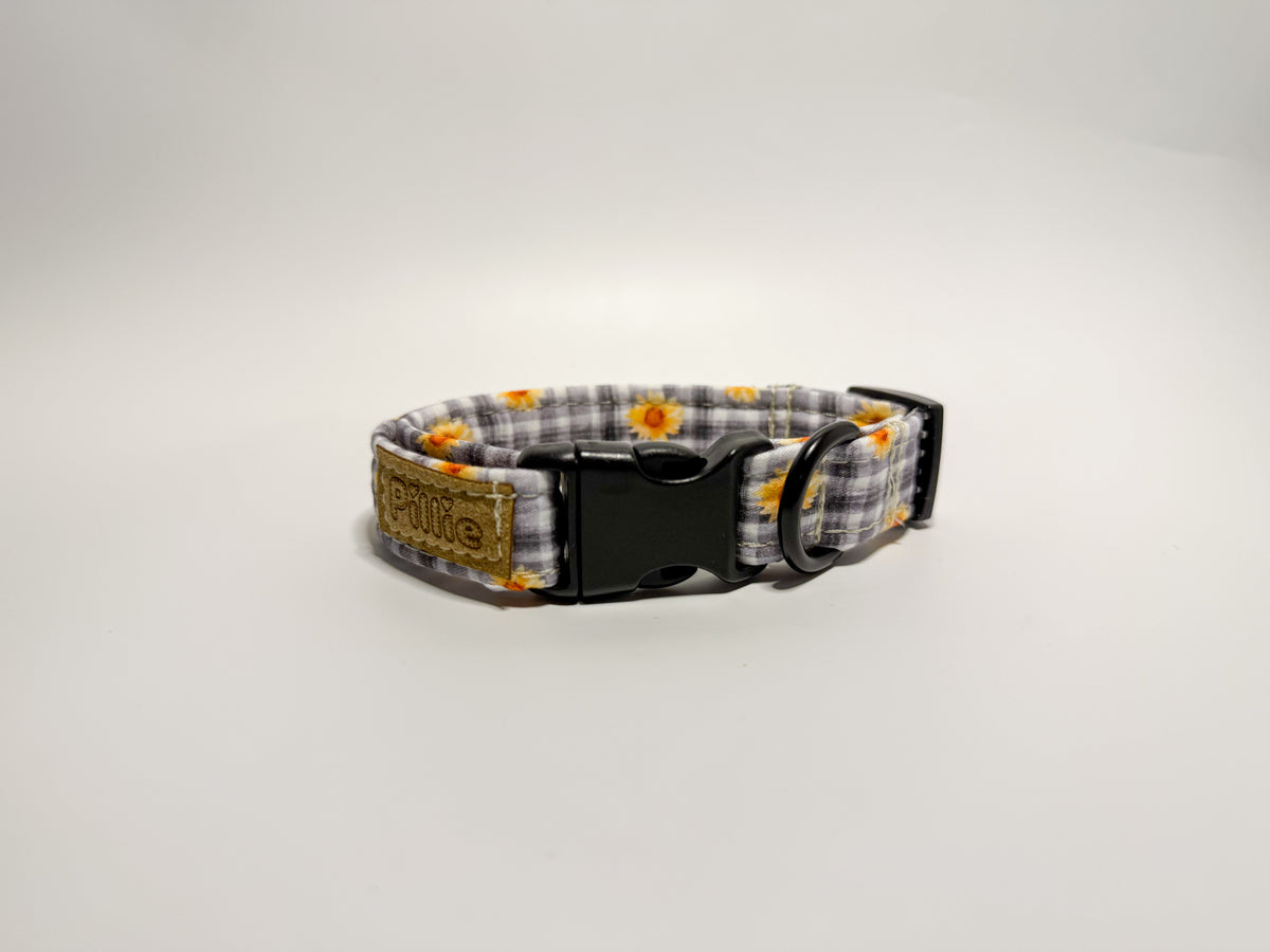 Sunnie - Collar