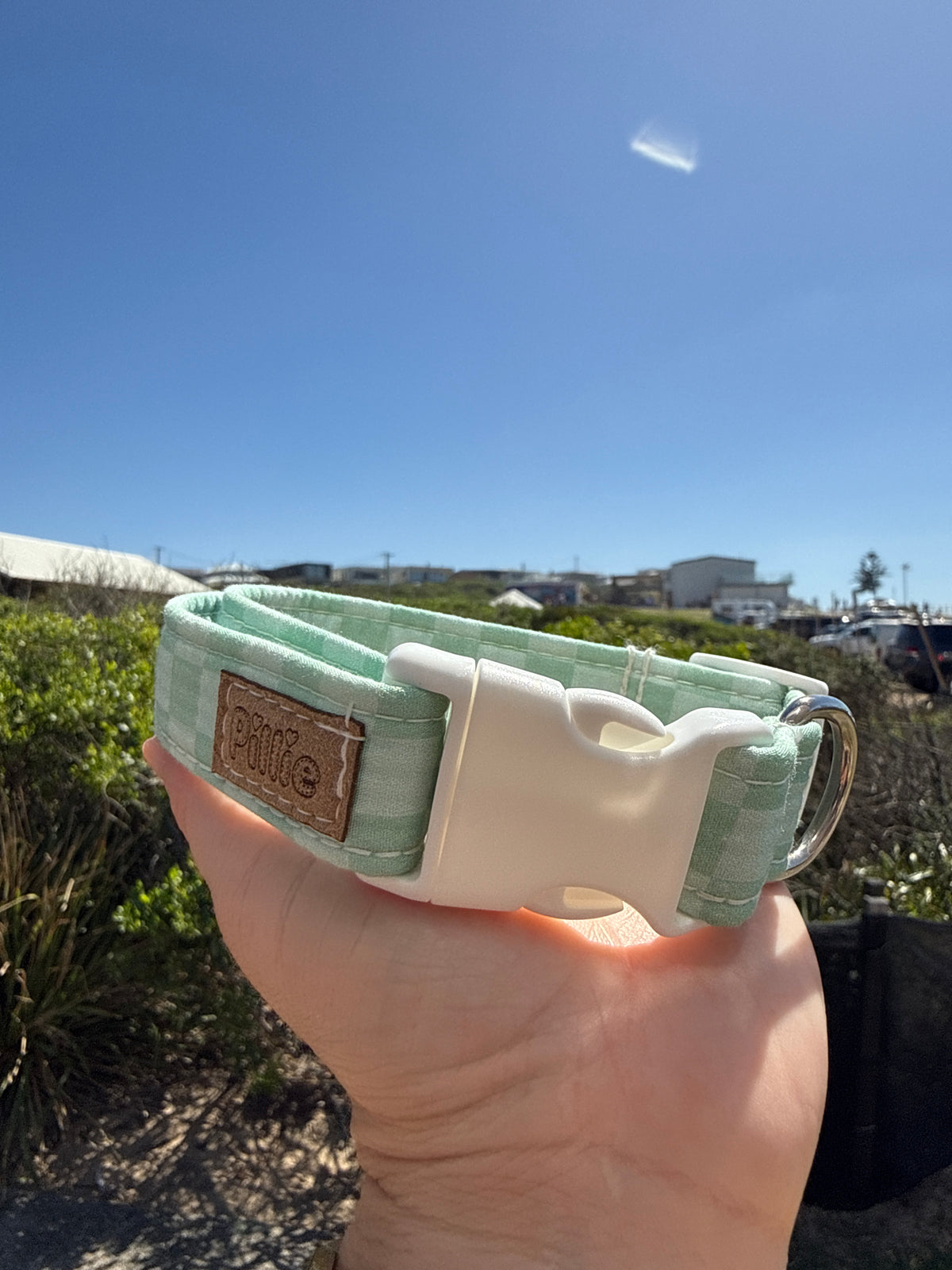 Sage check  - Medium Collar Sample