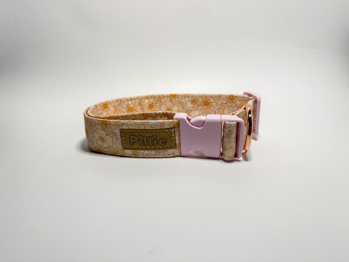 Evie - Boss Collar