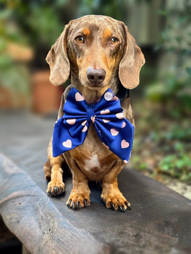 Navy Satin Hearts - Bows (Sailor or Standard)