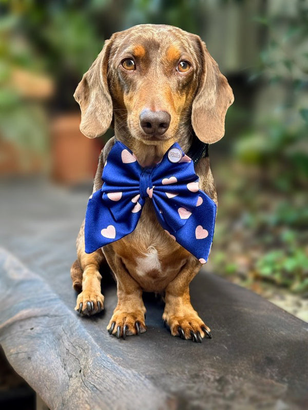 Navy Satin Hearts - Bows (Sailor or Standard)