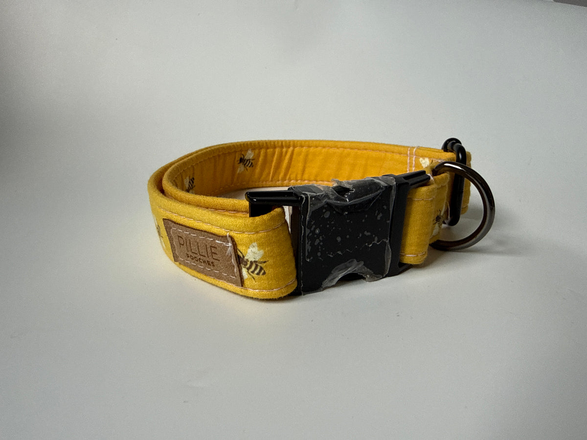 Ernie - Large Collar Sample