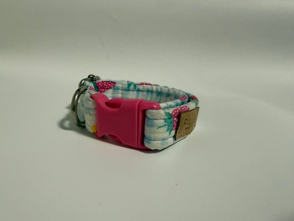 Picnic - Small Collar Sample