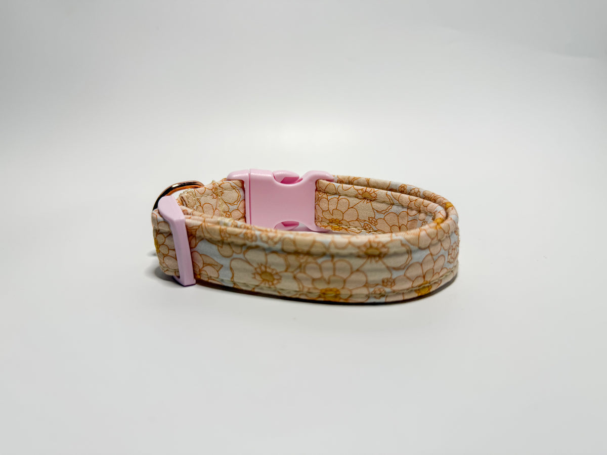 Evie - Collar