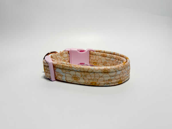 Evie - Collar