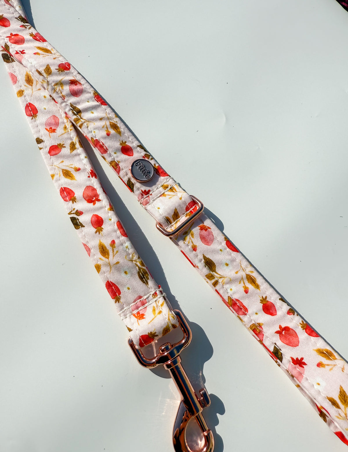 Strawberry Kisses - Leads (Long, Short, Traffic Lead)