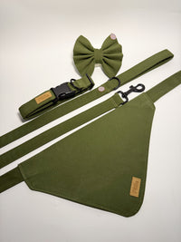Khaki - Collar
