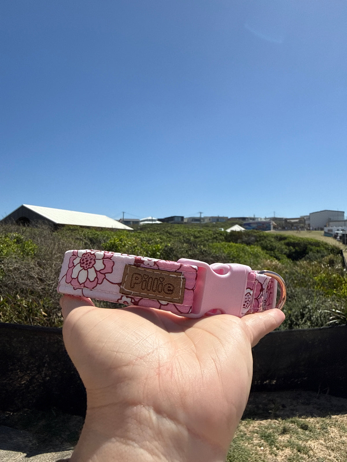 Alice - Large Collar Sample