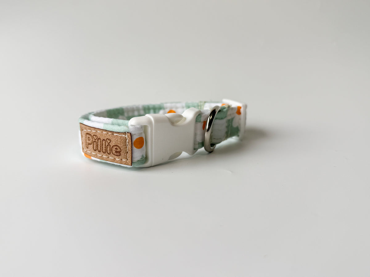 Daisy Mae - Collar