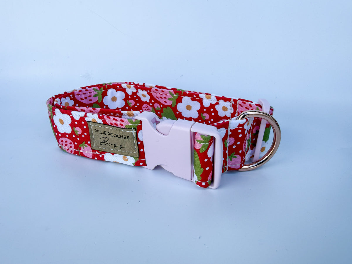 Ruby - Boss Collar