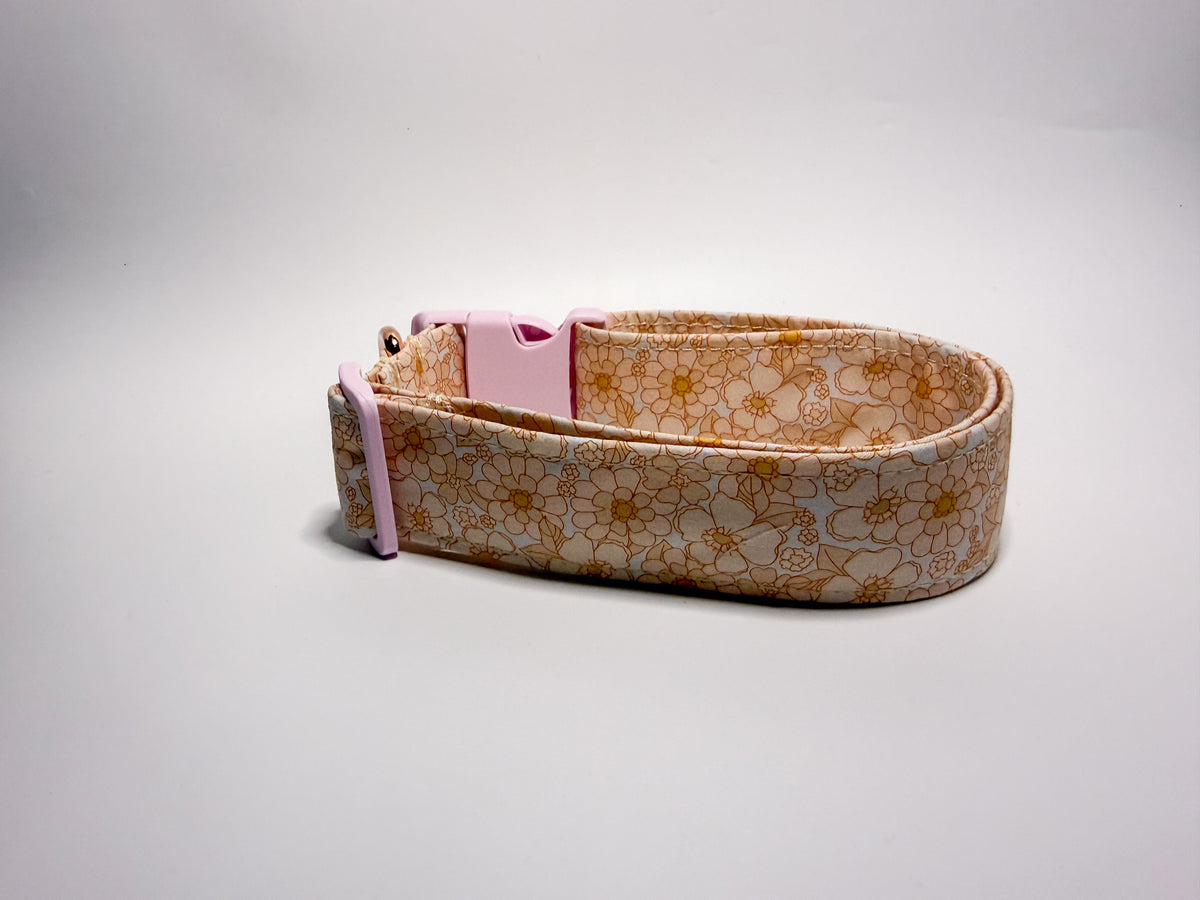 Evie - Boss Collar