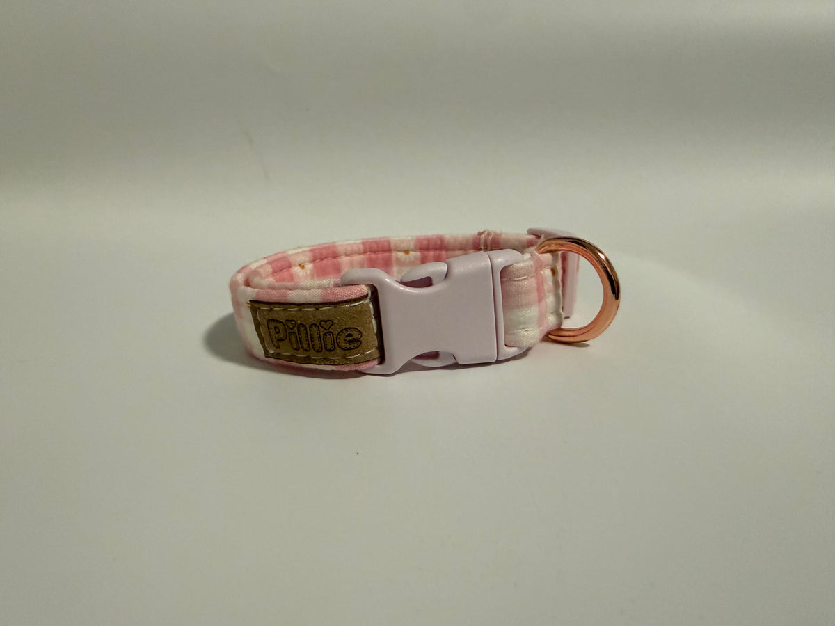 Daisy Duke- Small Collar Sample