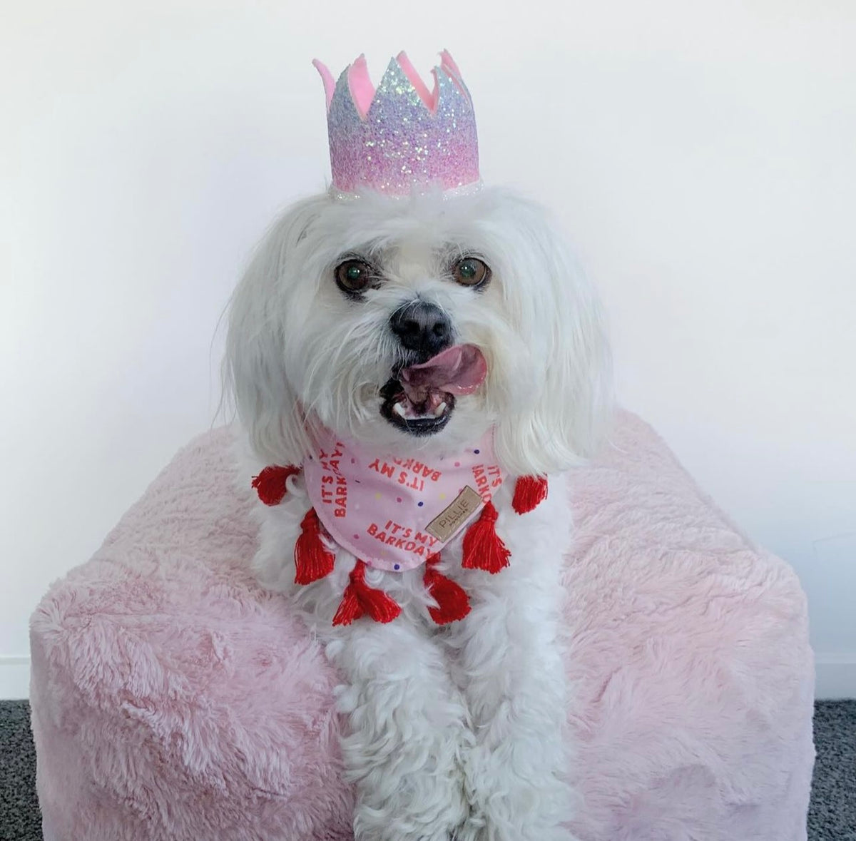 Pink BARKDAY - Bandana
