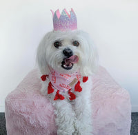 Pink BARKDAY - Bandana