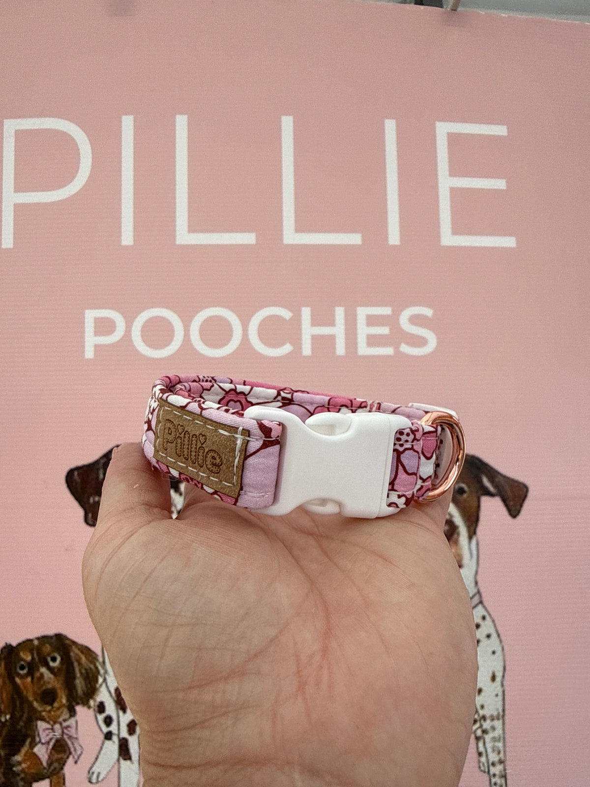 Alice - Small Collar Sample