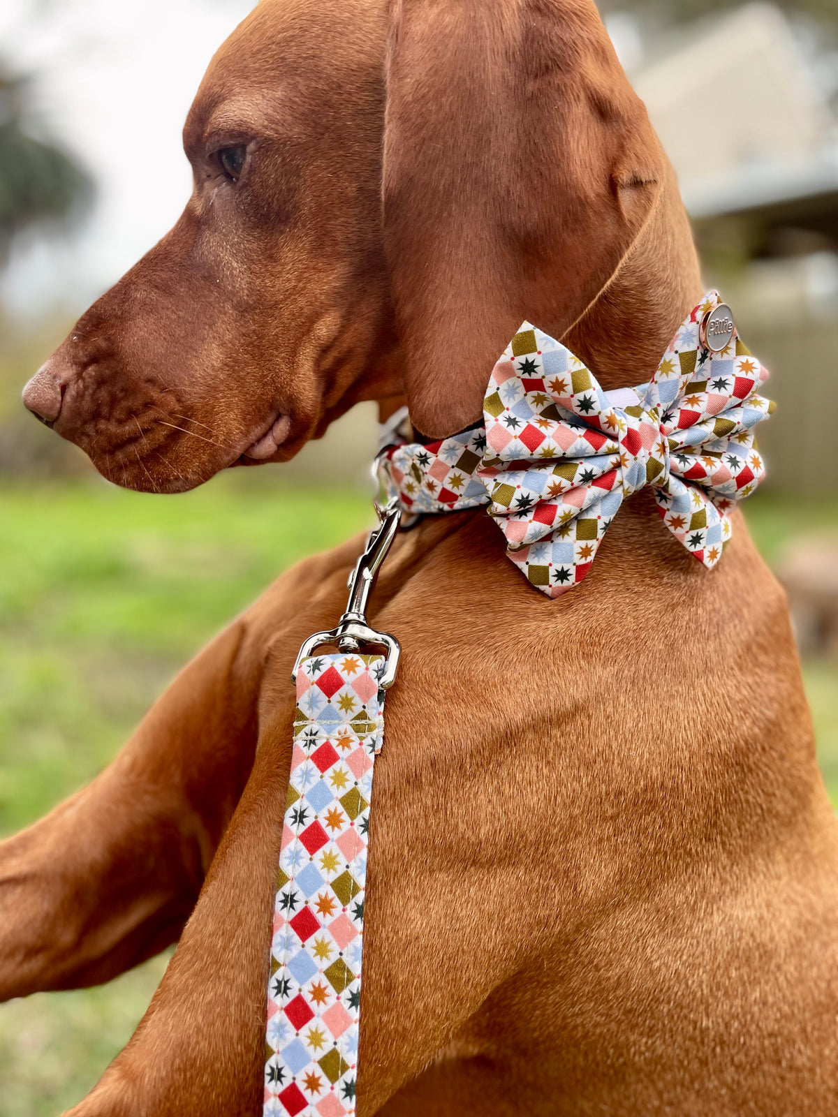 Barnum - Bows (Sailor or Standard)