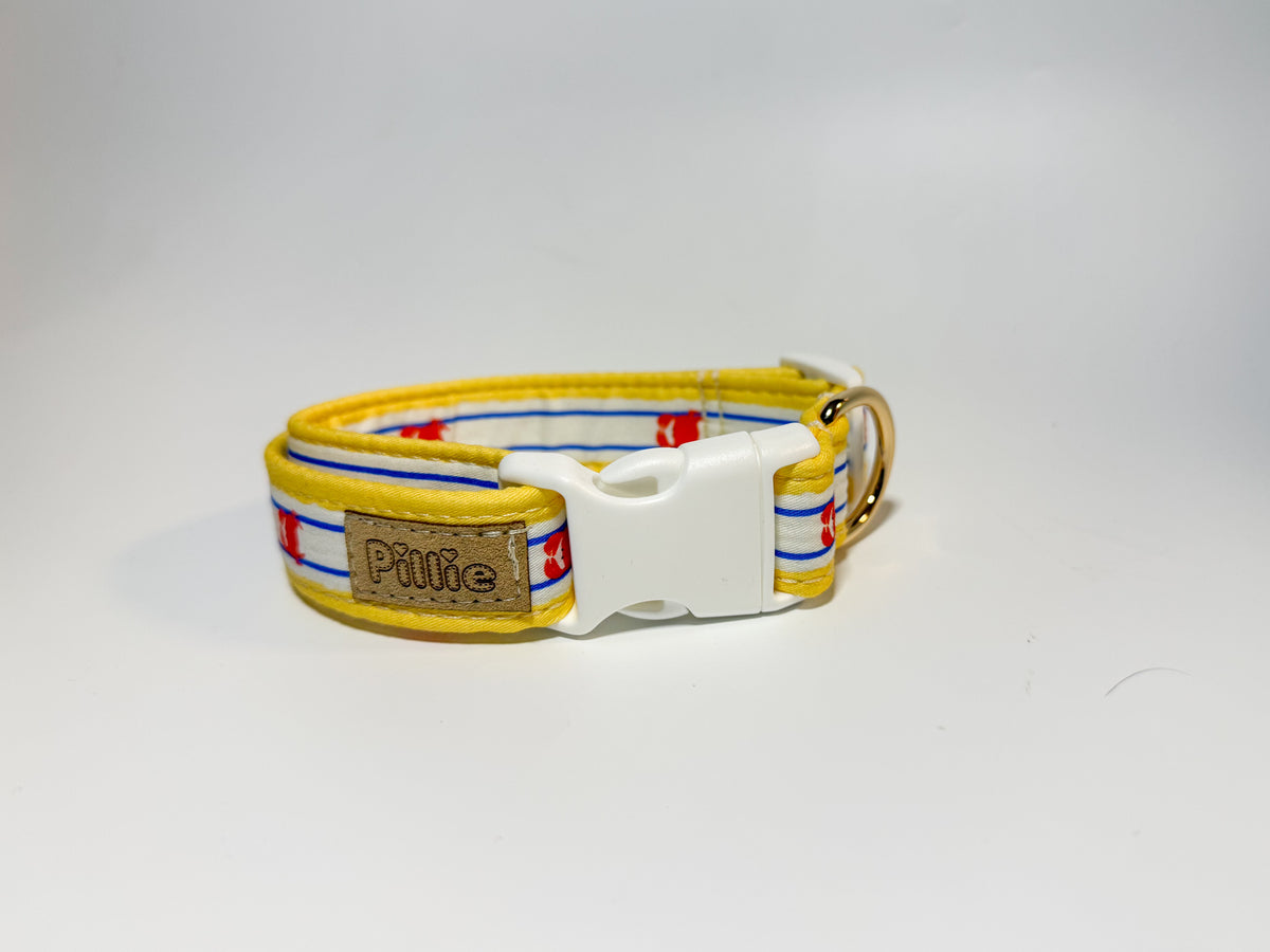 Sebastian - Collar