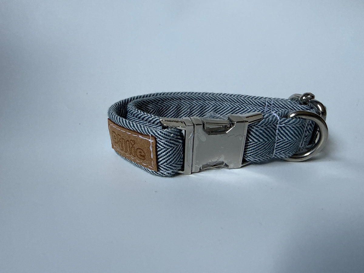Ted - Small Collar Sample