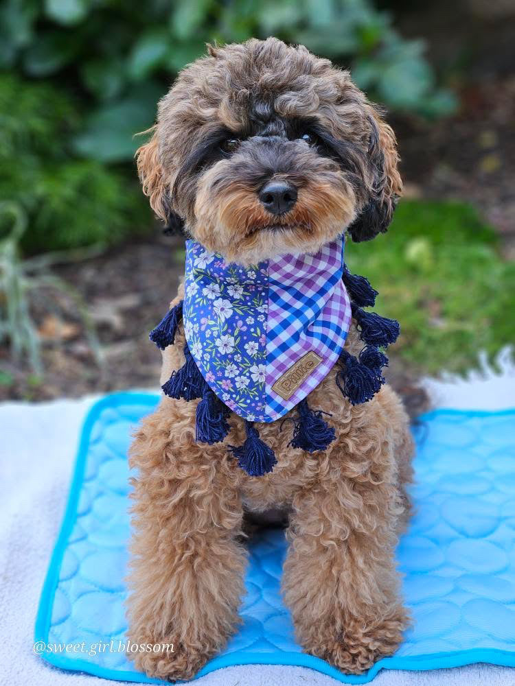 Bonny - Bandana