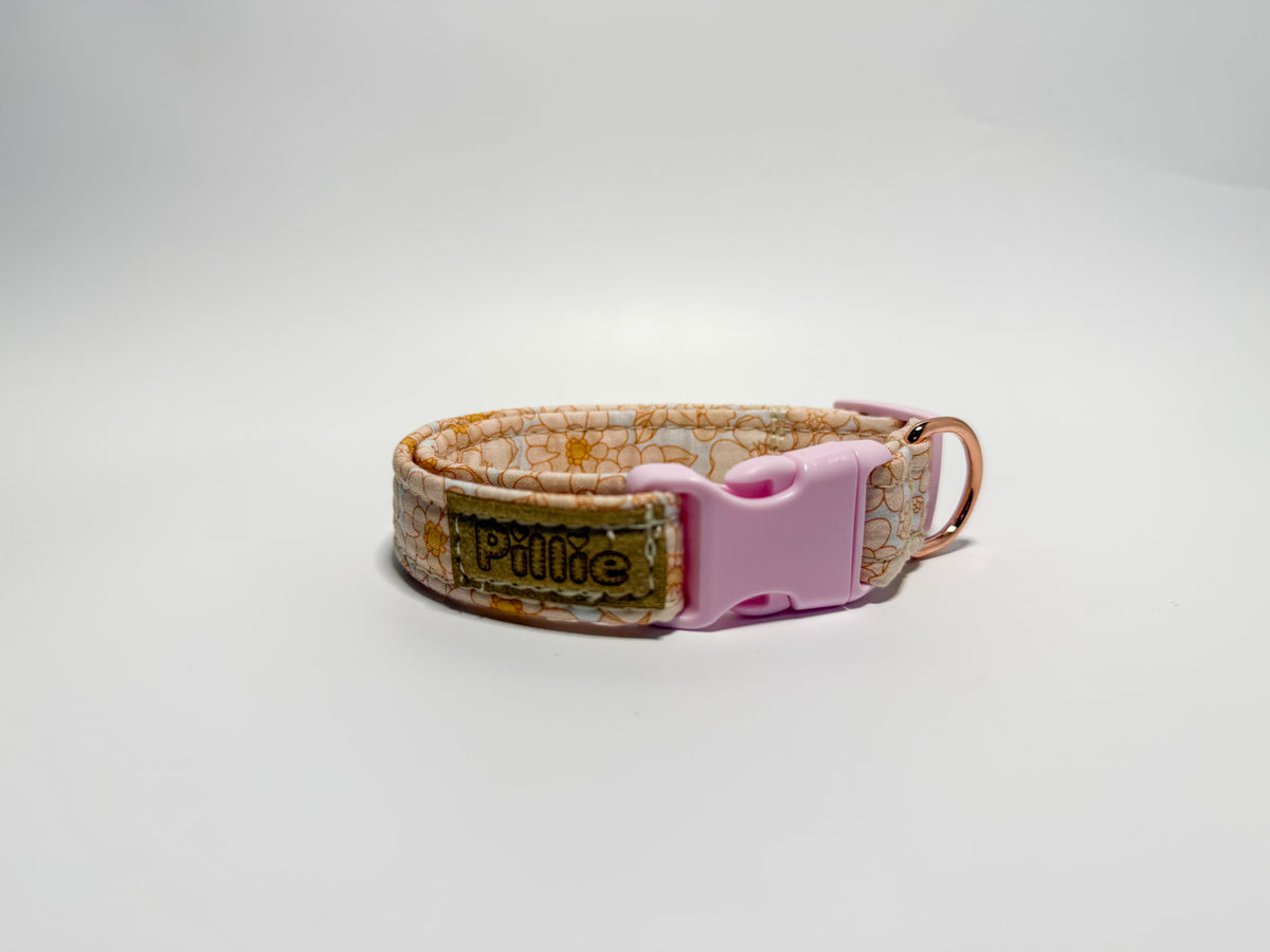 Evie - Collar