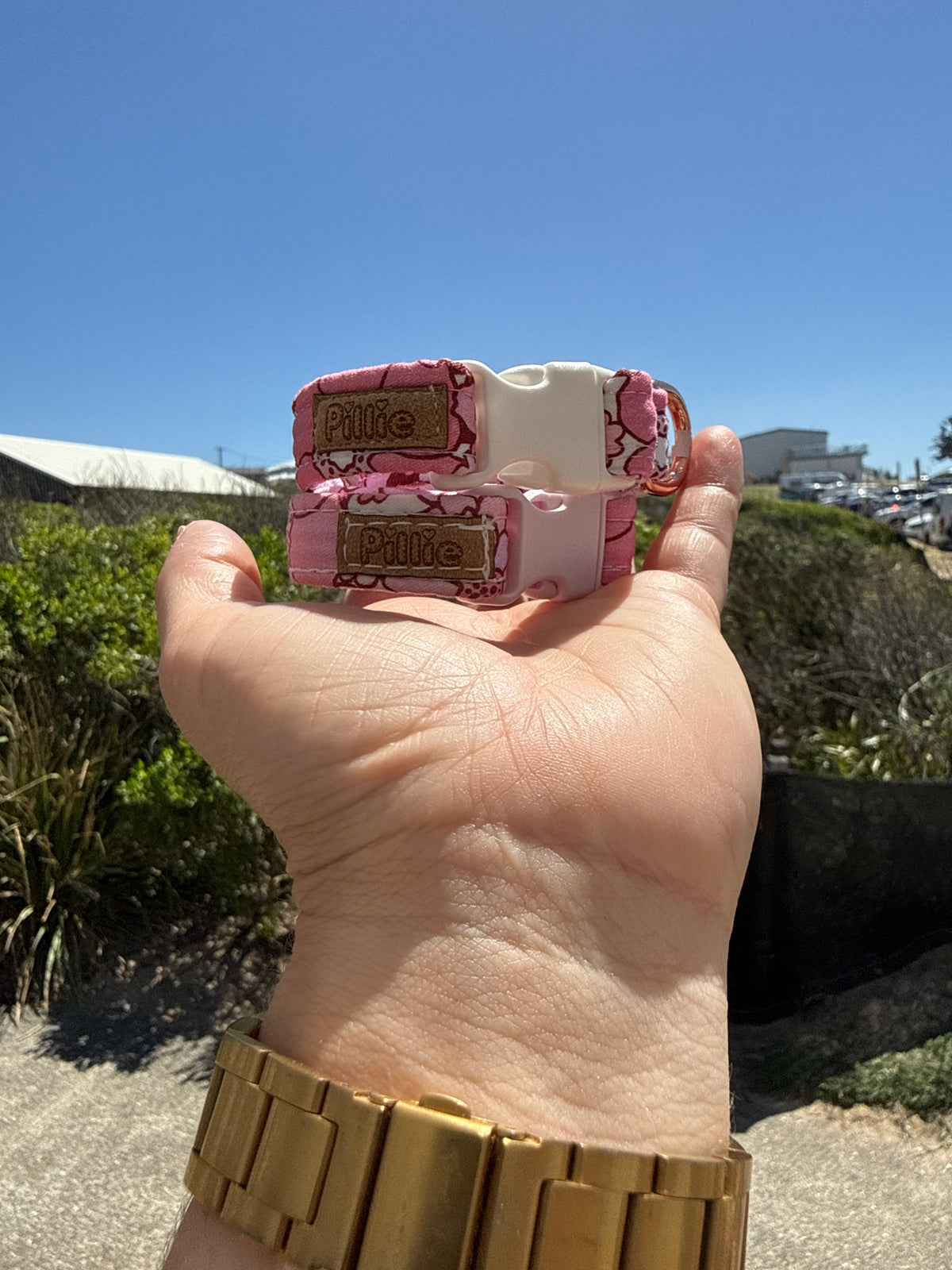 Alice - Puppy Collar Sample