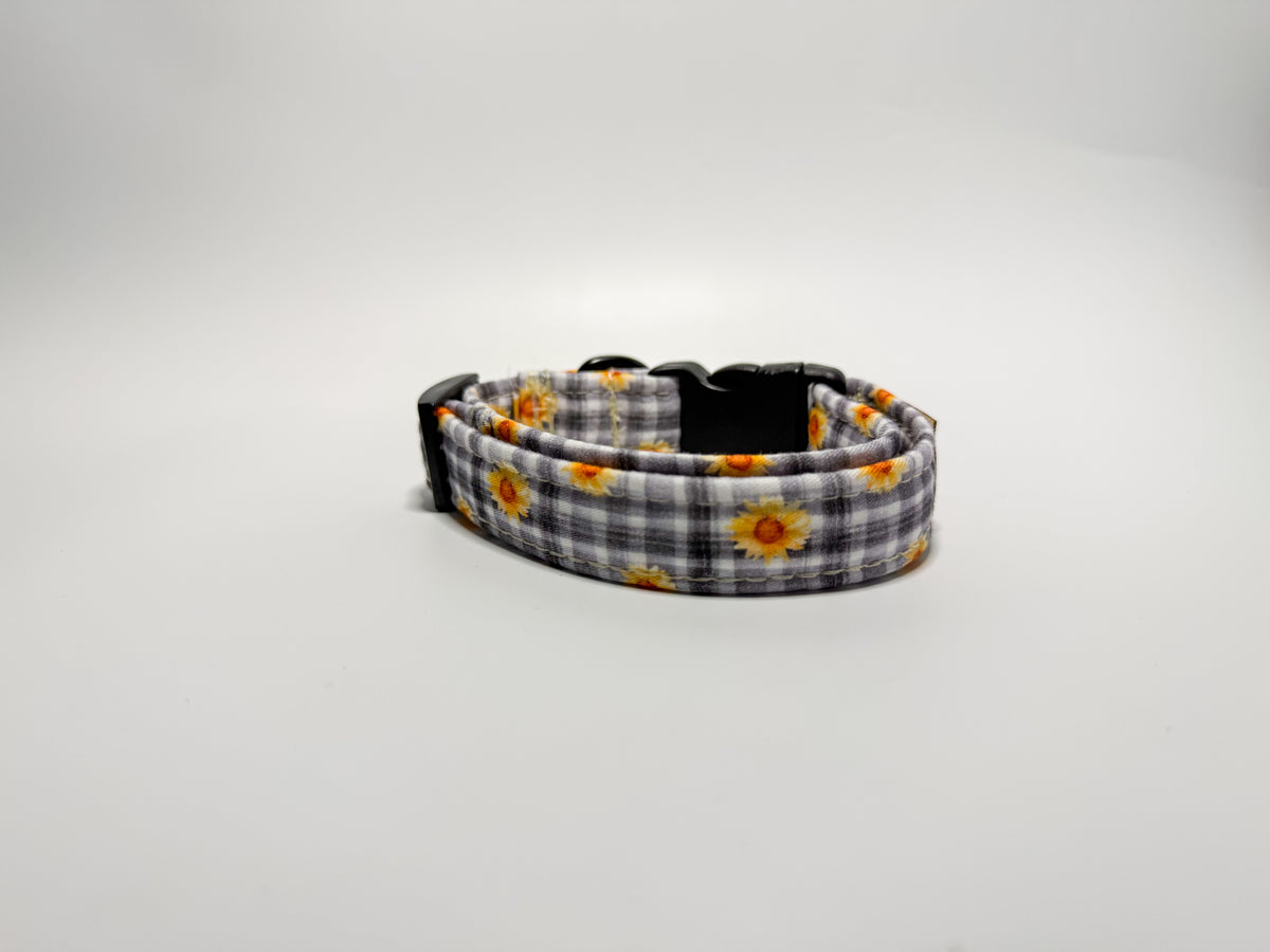 Sunnie - Collar